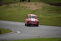 Historic Racing Picnic
